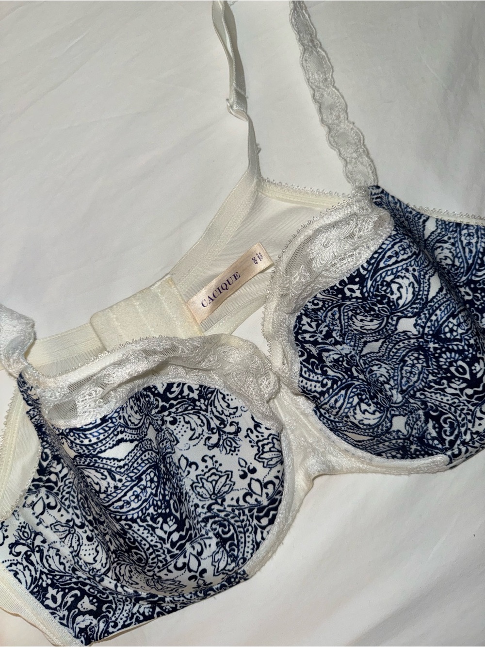 Cacique Navy Paisley and White Lace Underwire Bra